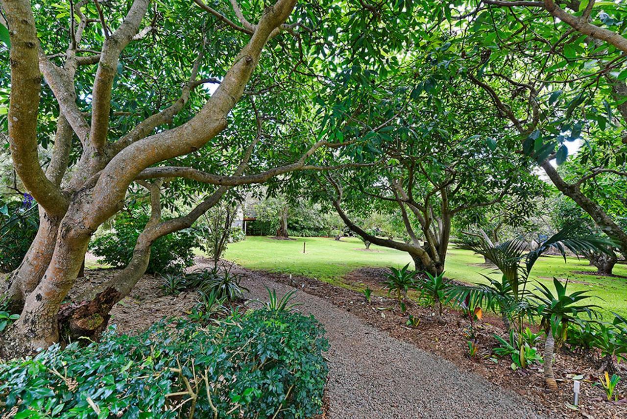 Camelot Boutique Accommodation Mount Tamborine Exteriör bild