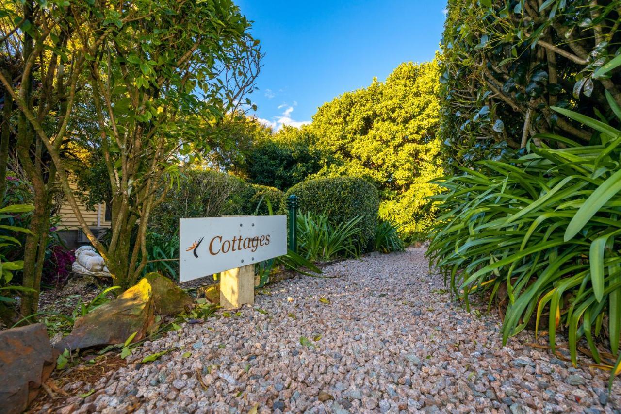 Camelot Boutique Accommodation Mount Tamborine Exteriör bild
