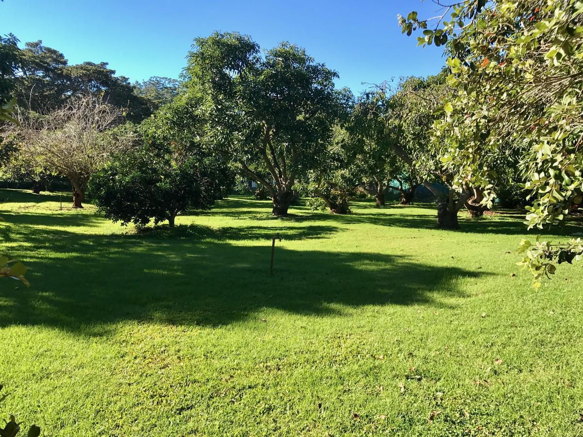 Camelot Boutique Accommodation Mount Tamborine Exteriör bild