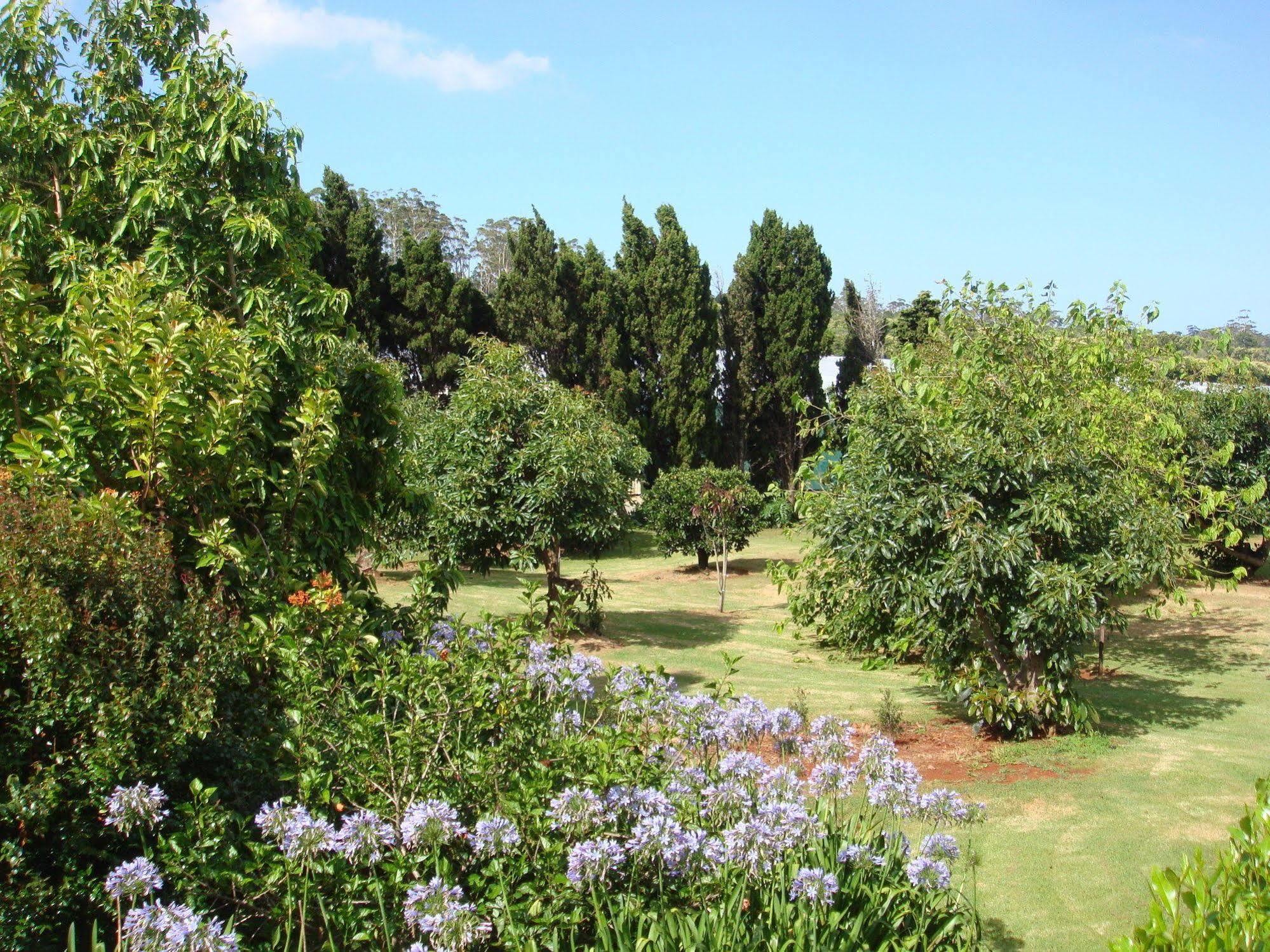 Camelot Boutique Accommodation Mount Tamborine Exteriör bild