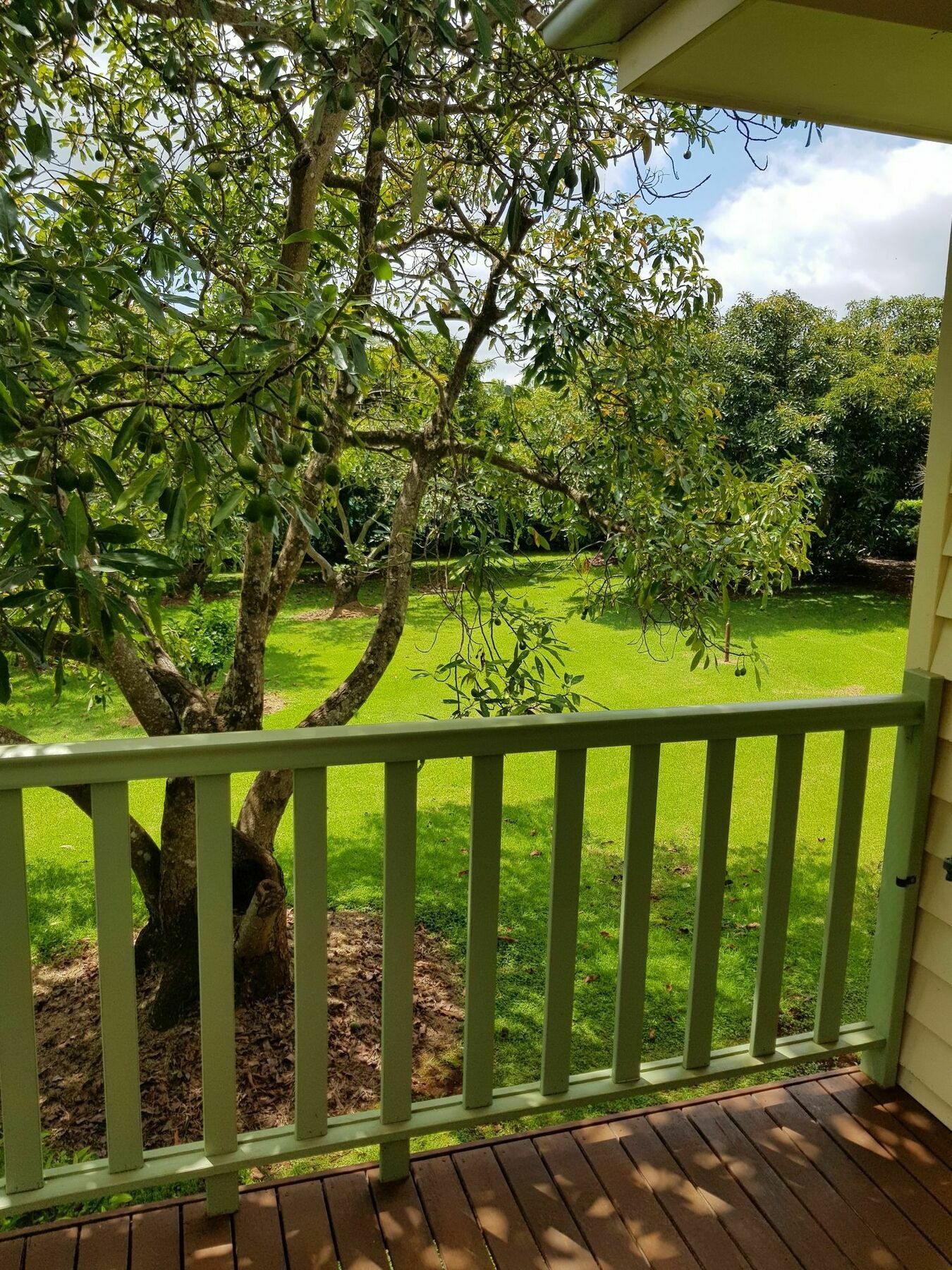 Camelot Boutique Accommodation Mount Tamborine Exteriör bild