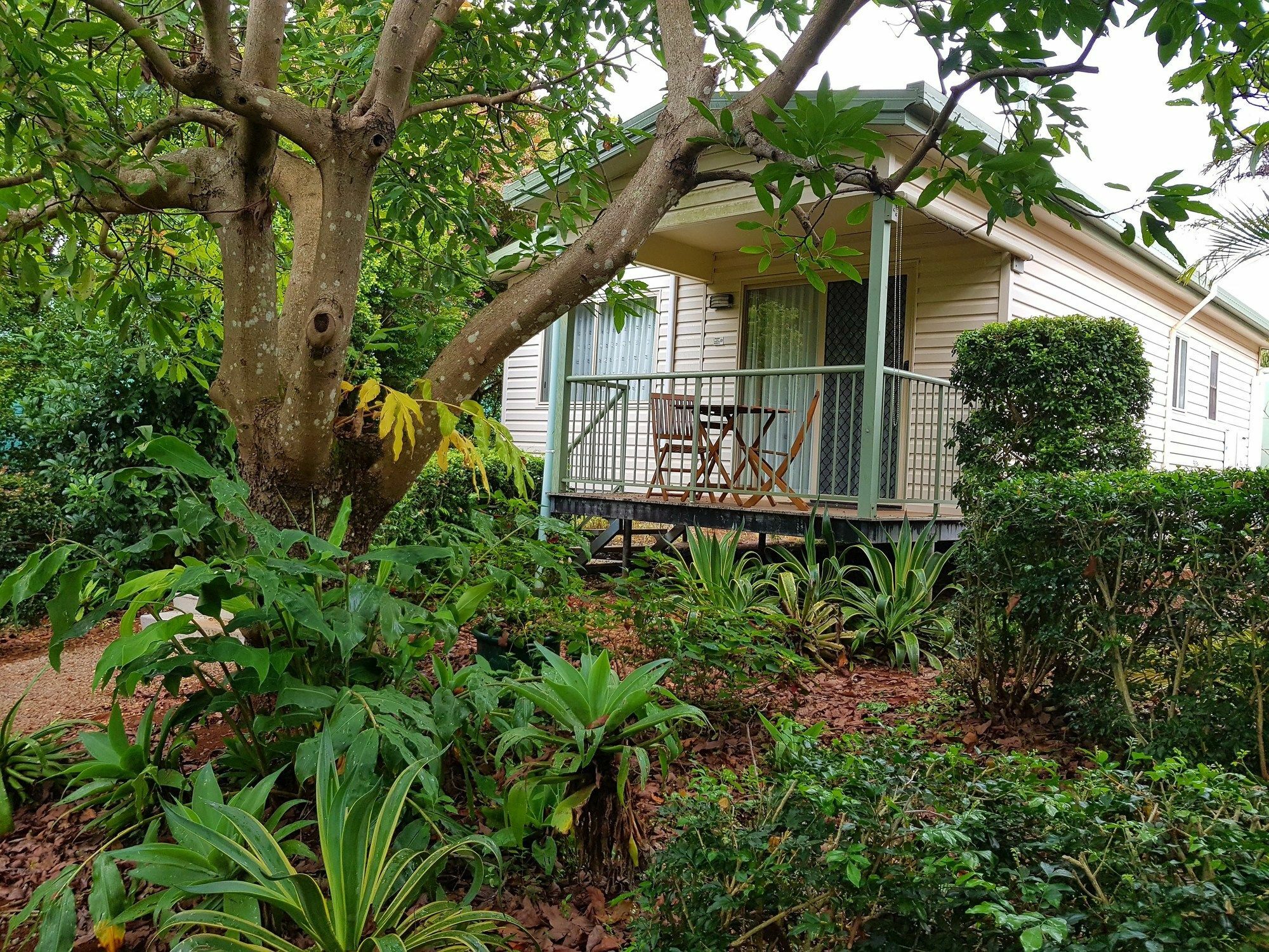 Camelot Boutique Accommodation Mount Tamborine Exteriör bild
