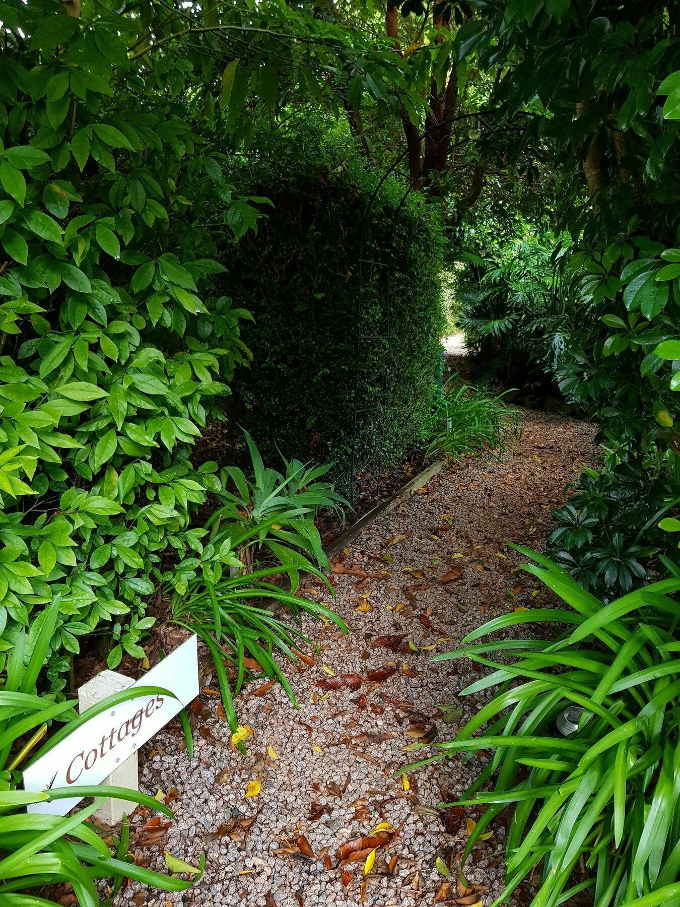 Camelot Boutique Accommodation Mount Tamborine Exteriör bild