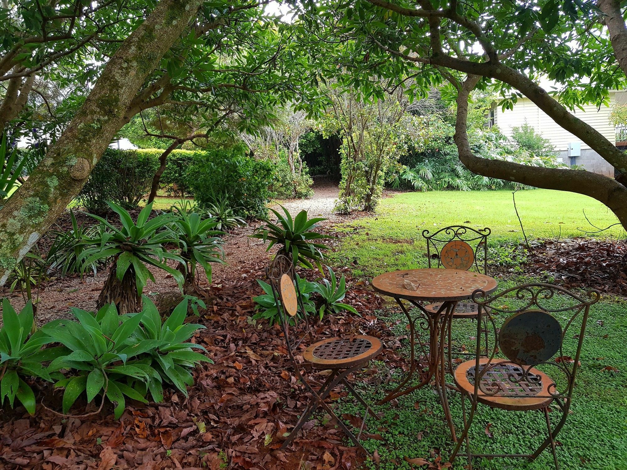 Camelot Boutique Accommodation Mount Tamborine Exteriör bild