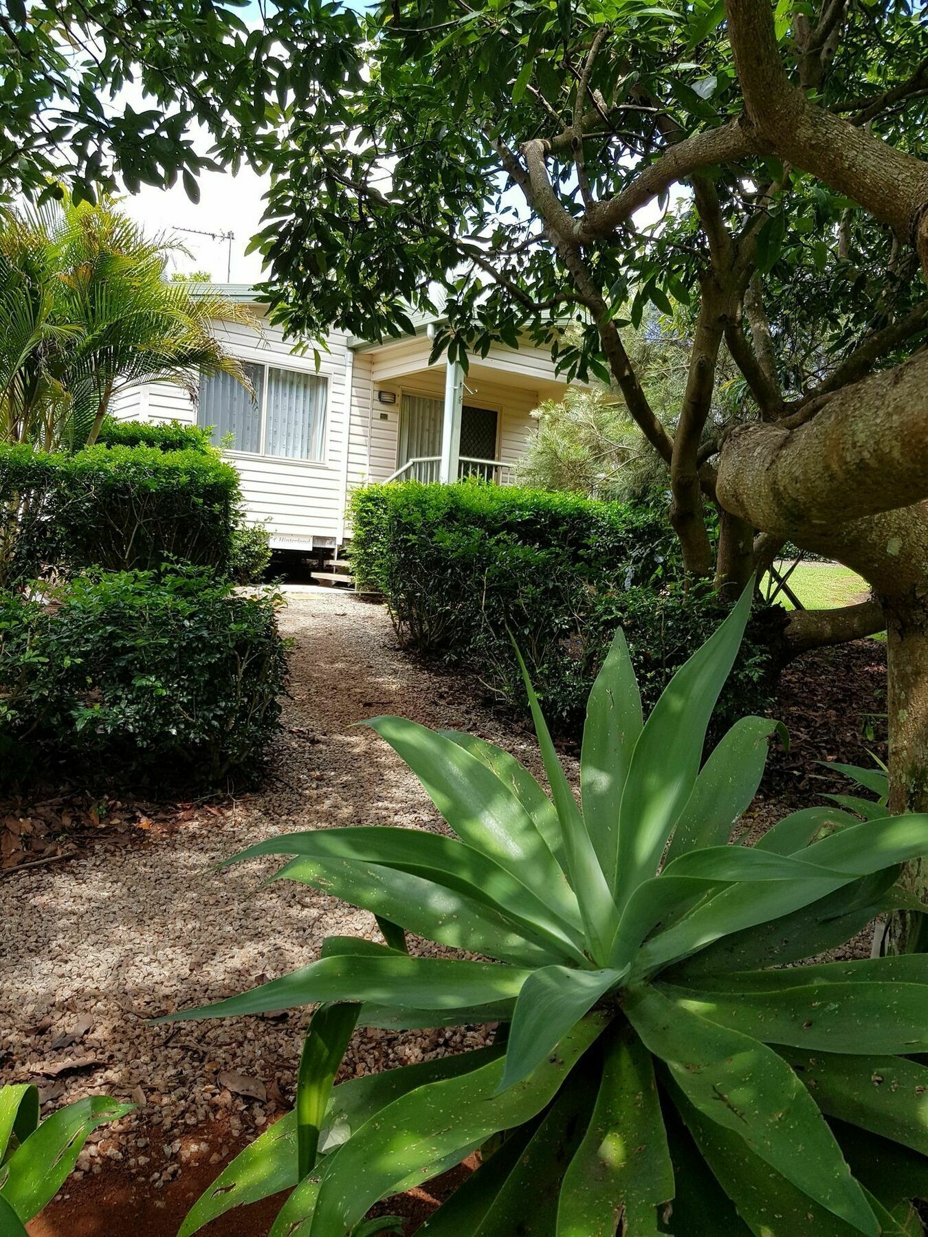 Camelot Boutique Accommodation Mount Tamborine Exteriör bild